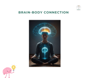 Brain-Body-Connection